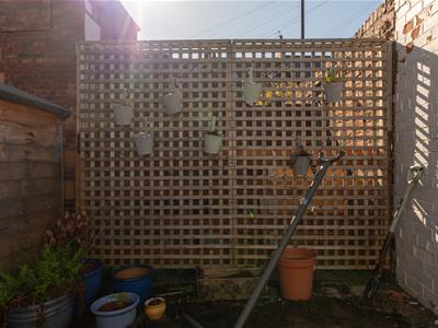 Picture 24